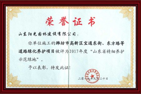 6榮譽證書(shū) 2017 年(nián)9月(yuè)